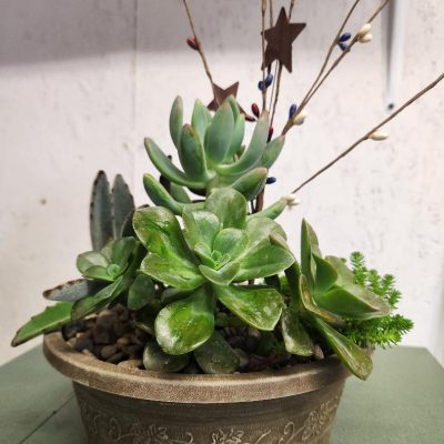 8 succulent bowl for fall